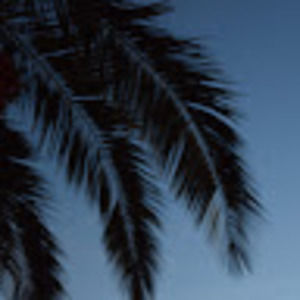 Meet your Posher, Sophia